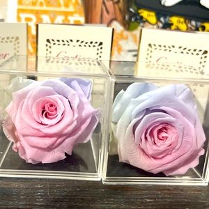 🌹Real Rose Preserved Looks & Smells Fresh For Years🌹